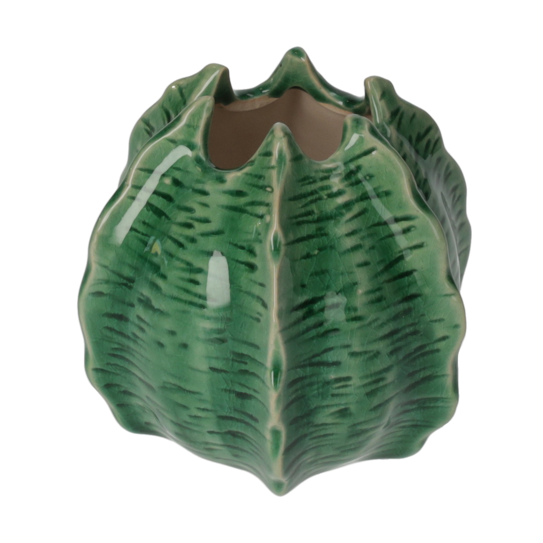 cactus vaso in ceramica piccolo